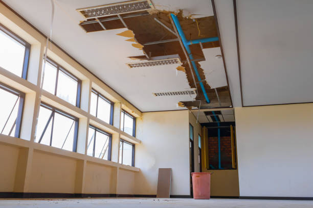 Best Water damage restoration experts  in Cadiz, OH