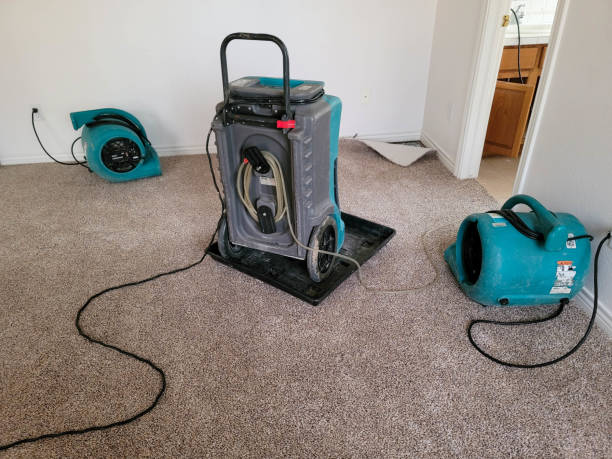 Best Ceiling water damage repair  in Cadiz, OH