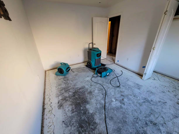 Best Emergency water damage restoration  in Cadiz, OH