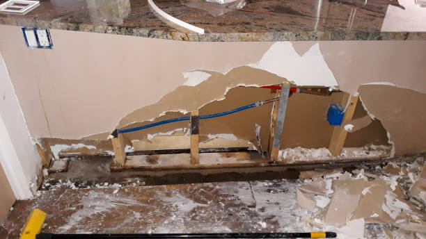 Best Mold removal after water damage  in Cadiz, OH