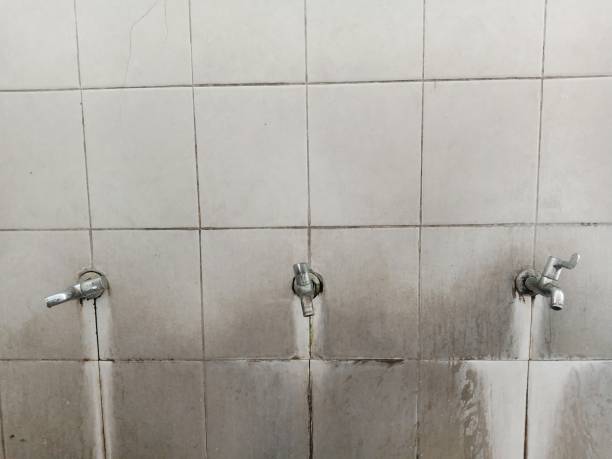 Best Flooded house restoration  in Cadiz, OH