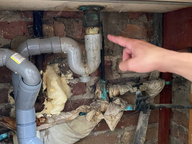 Best Water damage restoration near me  in Cadiz, OH