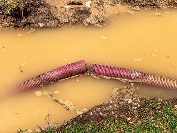 Professional Water damage restoration in Cadiz, OH