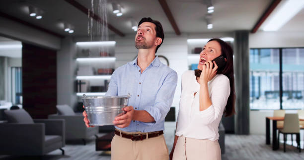 Best Flood restoration services  in Cadiz, OH