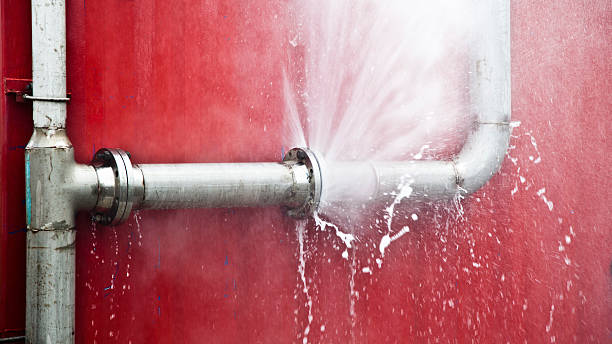 Best Basement water damage restoration  in Cadiz, OH